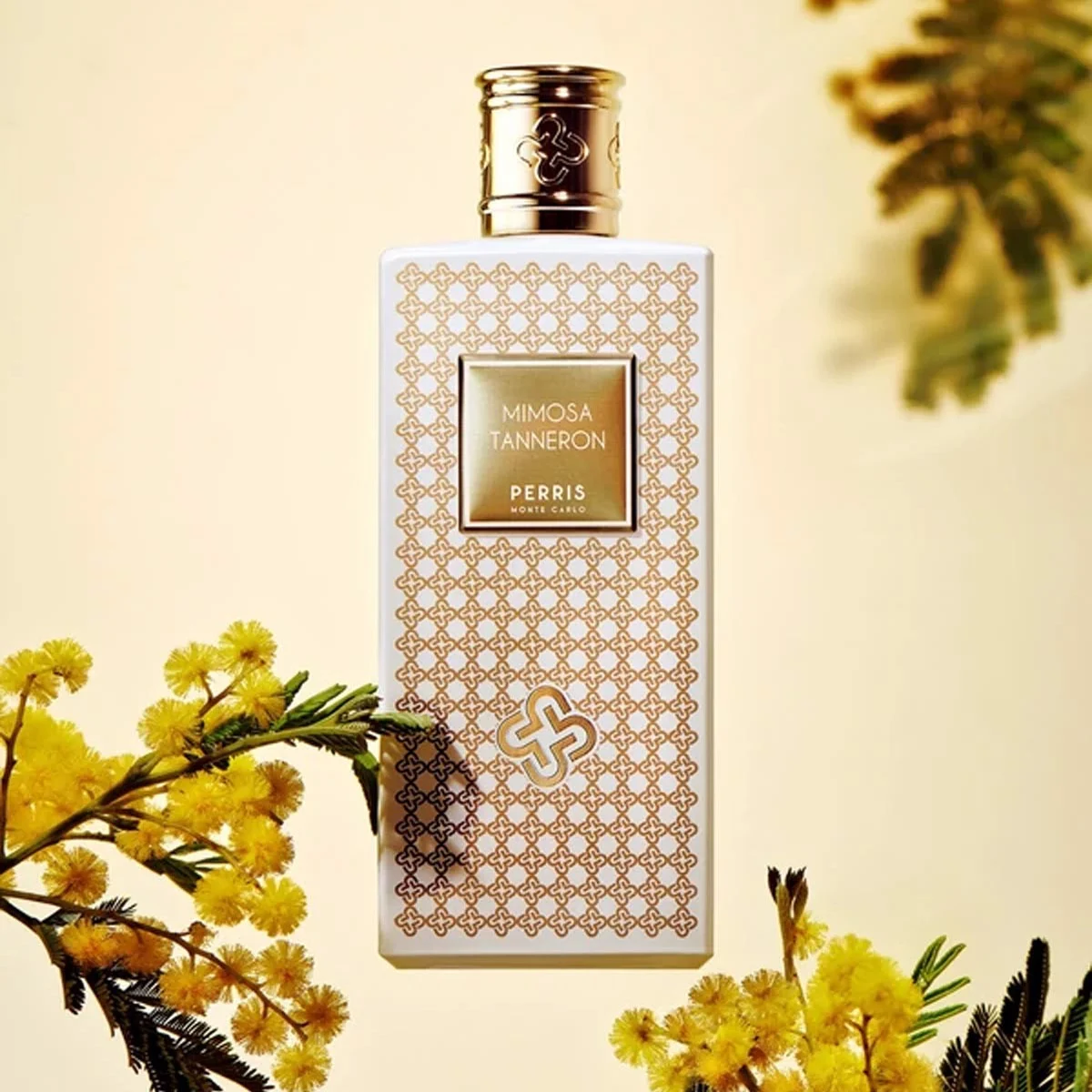 Nước Hoa Perris Monte Carlo Mimosa Tanneron EDP 100ml