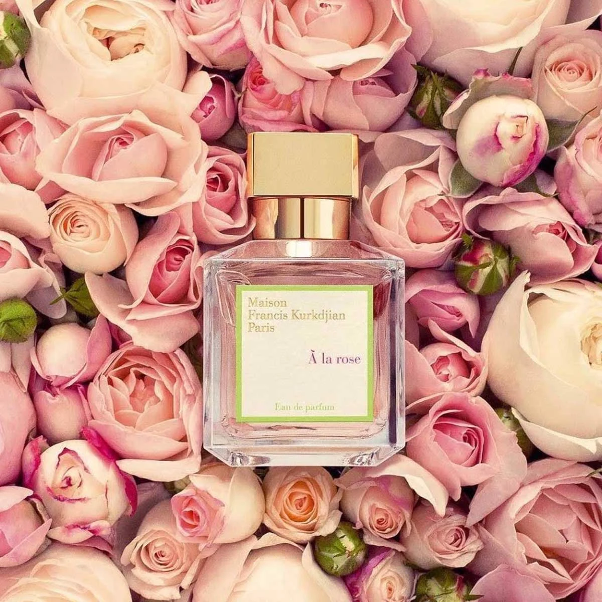 Nước hoa Maison Francis Kurkdjian A La Rose EDP 70ml